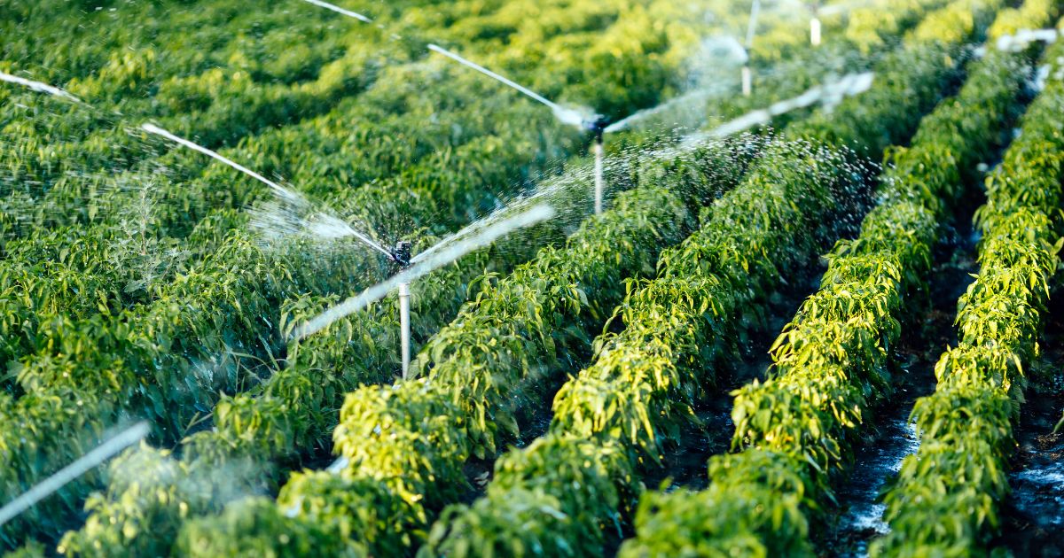 Latin America Micro Irrigation Systems Market