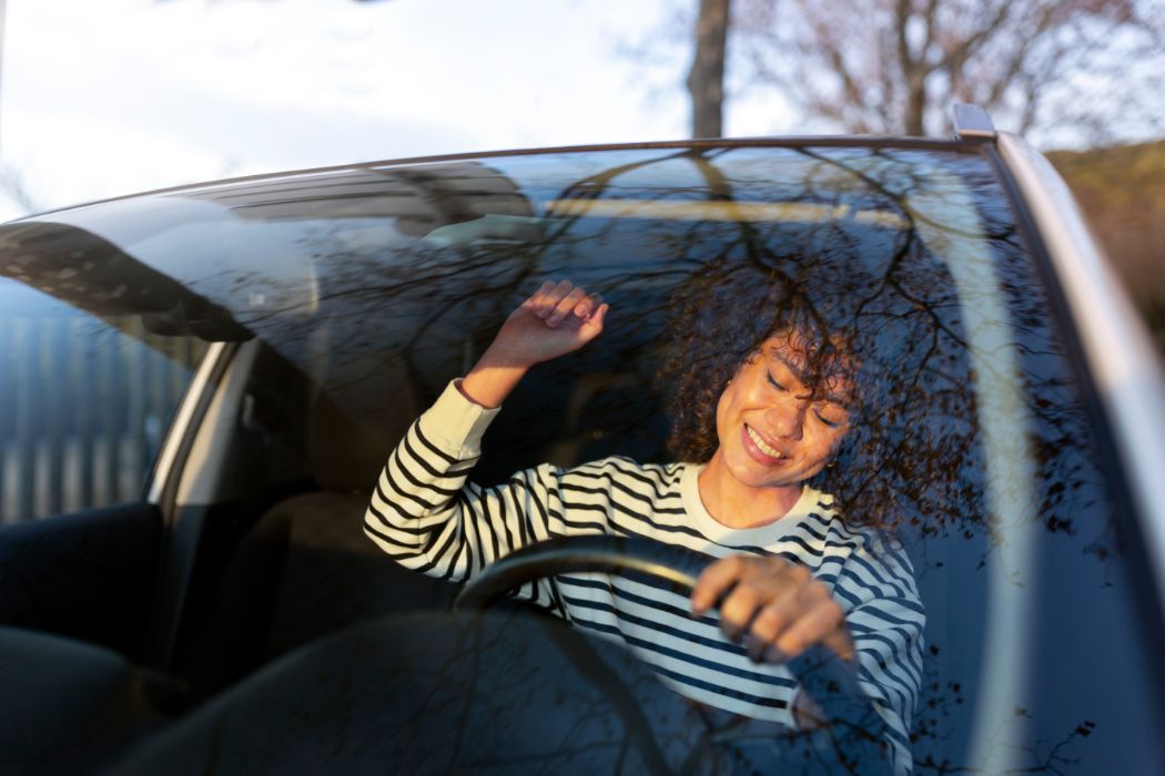 Car window screens